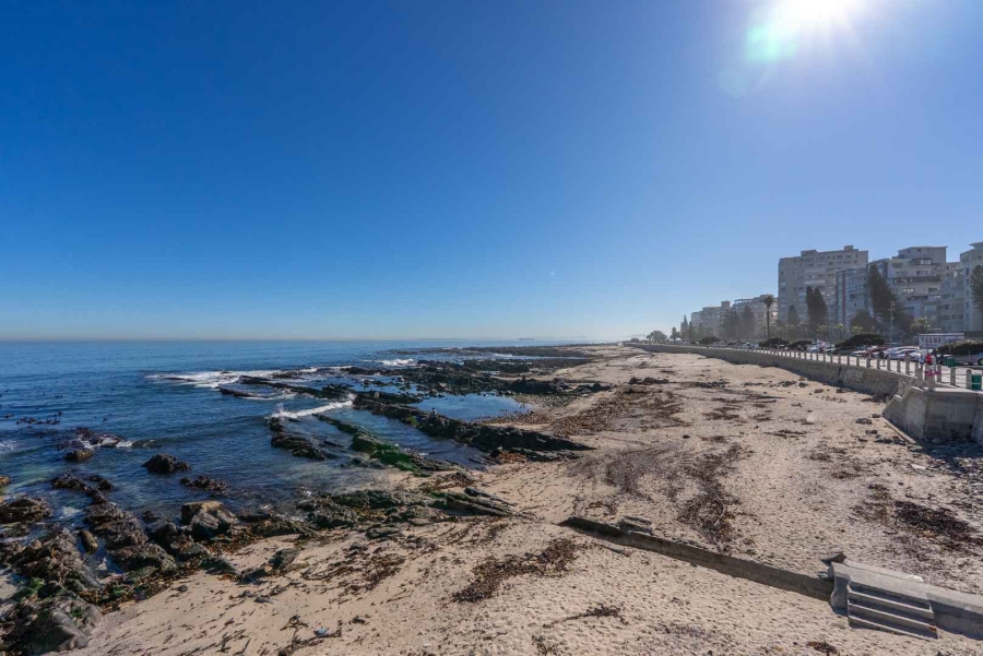 To Let 1 Bedroom Property for Rent in Sea Point Western Cape